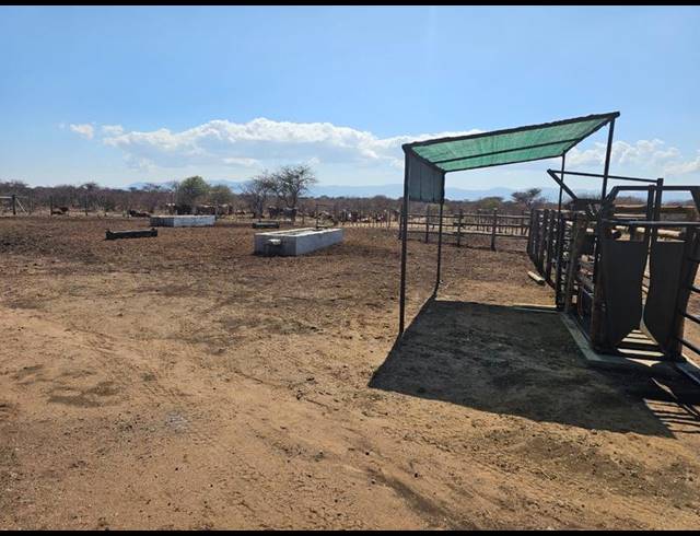 FARM FOR SALE IN LOUIS TRICHARDT RURAL
